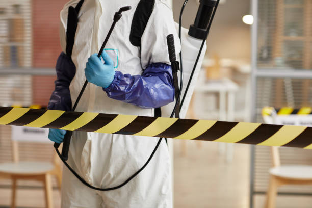 Professional Sewage Cleanup technician working in New Caney, TX